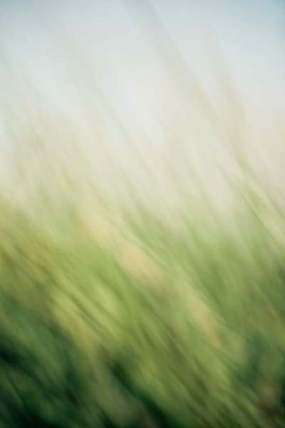 IMAGE: http://alexander-gardner.smugmug.com/Als-Shots/Today/Today-AlexGardner-100225-04/796695562_asZmB-L-1.jpg